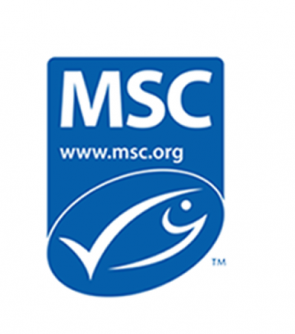 MSC logo