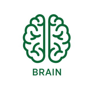 Brain__text