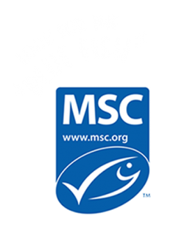 MSC logo.fw