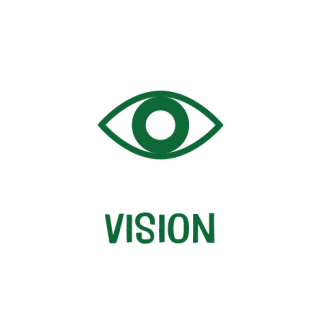 Vision_text