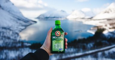 mollers-slika-1-3